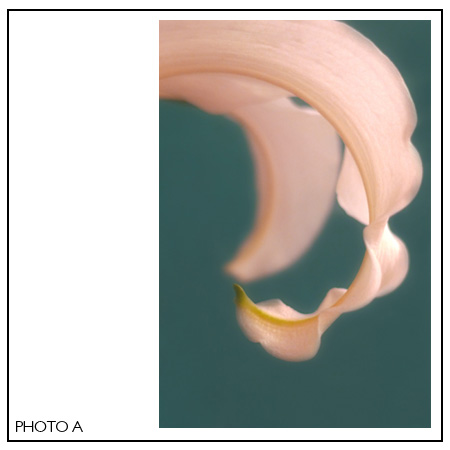 a_2 a_2