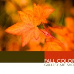 fall_colors1